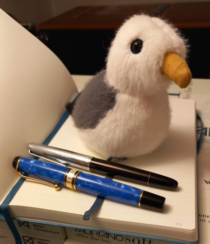 Cornelius, a gaivota