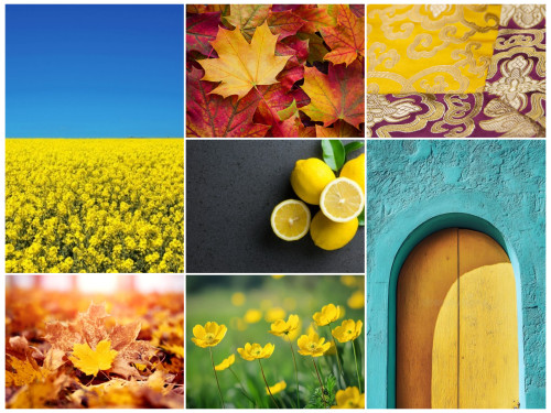 InCollage_20250806_212938301.jpg (5.71 MiB) Visto 4138 volte Quale sei?