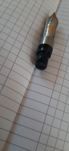 pennino Pelikan B.jpg