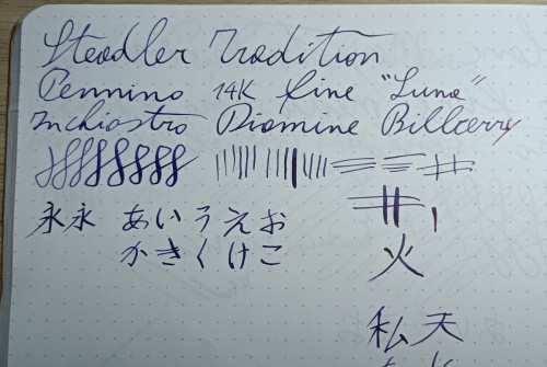Prova_Diamine_Bilberry.jpg