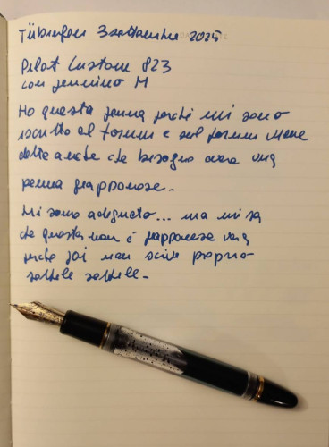 Pilot 823 01