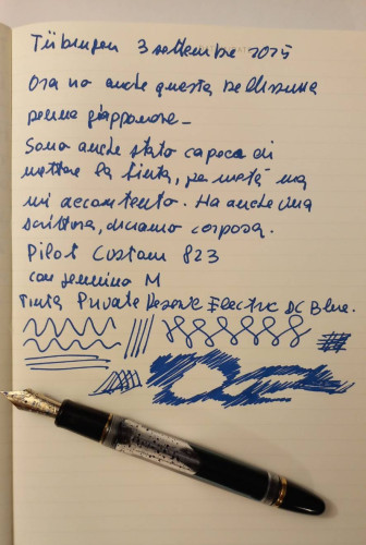 PIlot 823 02
