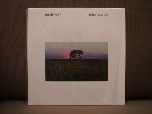 Pat Metheny group A.JPG