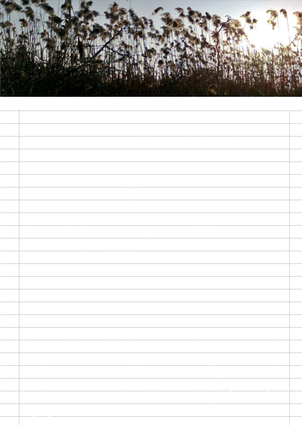 Phragmites.png