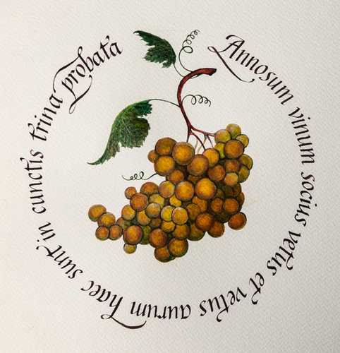 Annosum vinum.jpg