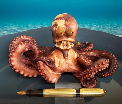 4. N500. octopus 2.jpg