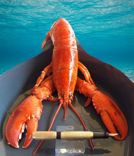 9. N500. lobster 2.jpg