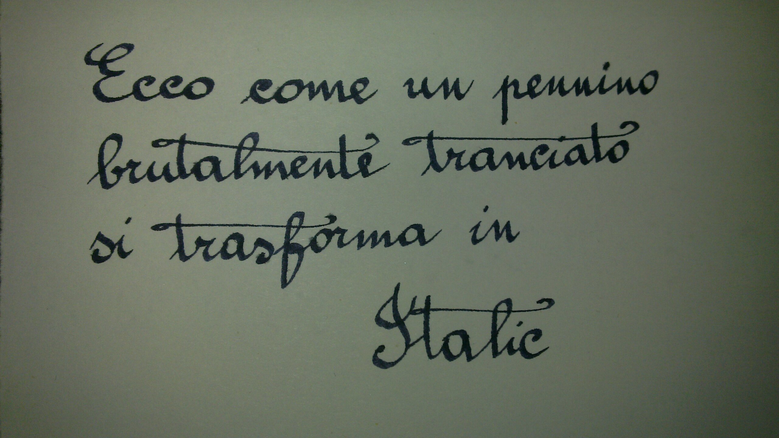 20121129_002 1.jpg