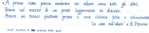 Diamine Asa Blue Pitzorno Casa Albero.jpg