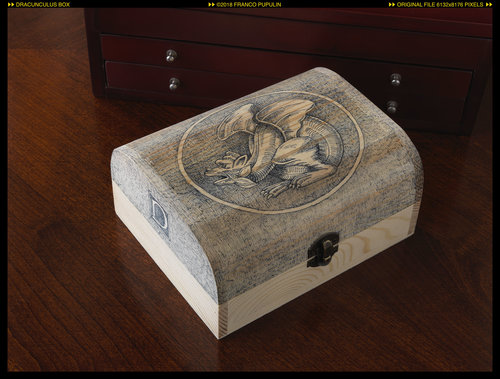 Dracunculus box (2) ©FP.jpg