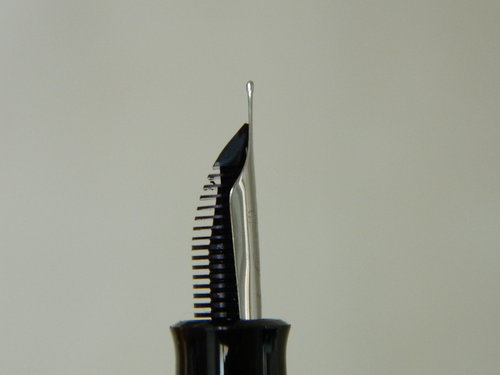 DSCN4510.JPG