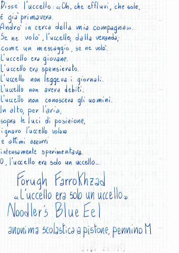 Prova su carta di quaderno Cartorama Store, a quadretti