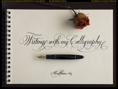 Writing with my Montblanc 149 Calligraphy ©FP.jpg