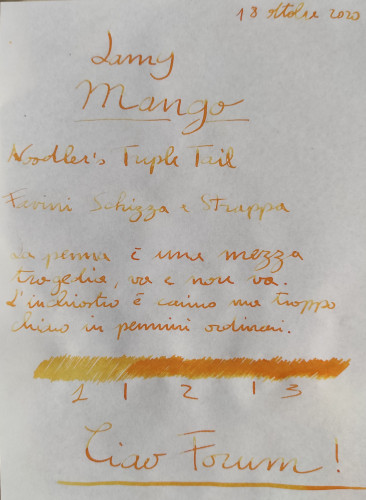 19-10 Lamy Mango.jpg