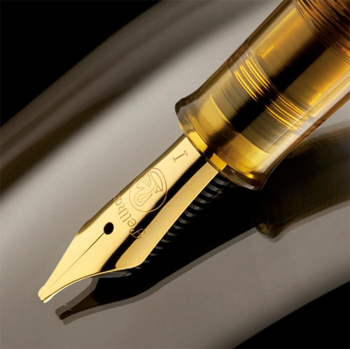 Pelikan M200 Cognac Special Edition - FOTO TESTO 1.jpg