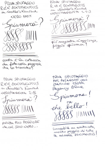 prova spiumaggio ReK dokumentus.jpeg
